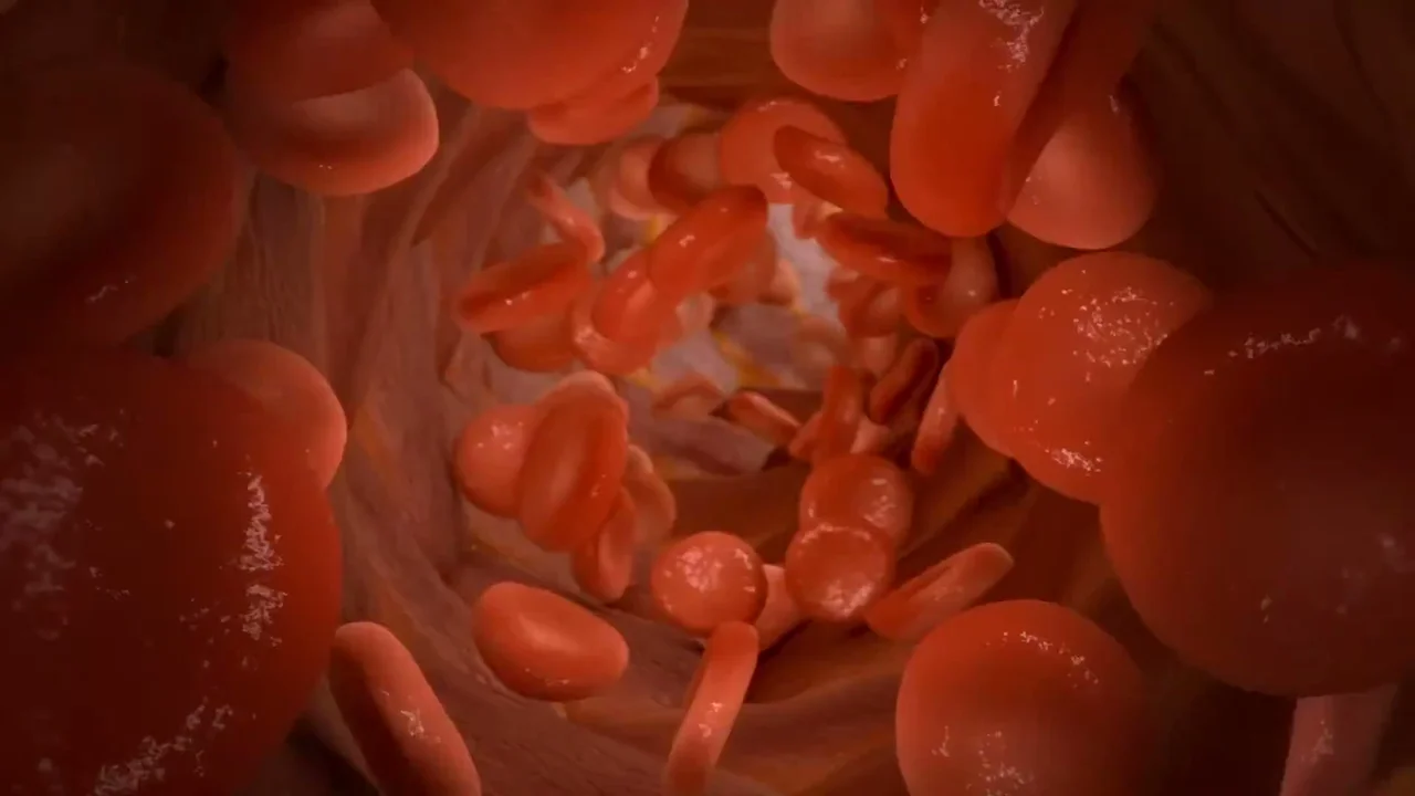 Erklärvideo Biologie
