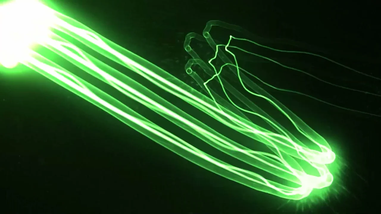 Erklärvideo DP Pulse