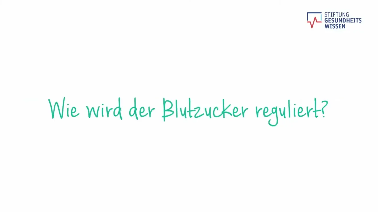 Erklärvideo Blutzucker